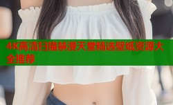 4K高清扫描禁漫天堂精选壁纸资源大全推荐
