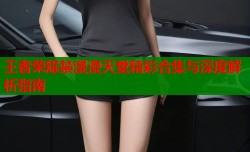 王者荣耀禁漫漫天堂精彩合集与深度解析指南