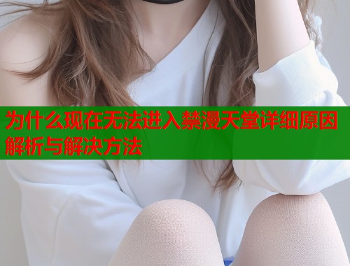 为什么现在无法进入禁漫天堂详细原因解析与解决方法  第2张
