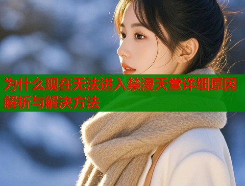 为什么现在无法进入禁漫天堂详细原因解析与解决方法  第1张