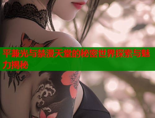 平兼光与禁漫天堂的秘密世界探索与魅力揭秘  第2张